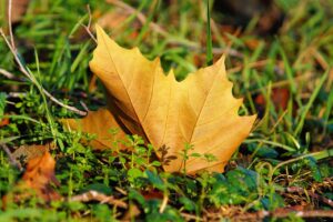 乾燥と皮脂を同時にケアするための効果的な方法は？