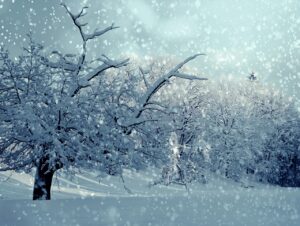 乾燥対策として冬の自宅ケアにおすすめの方法は？
