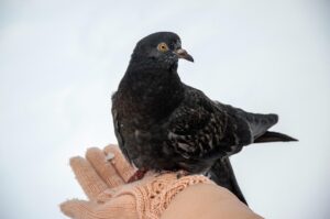 美肌を目指すための医療レベルのホームケアとは？