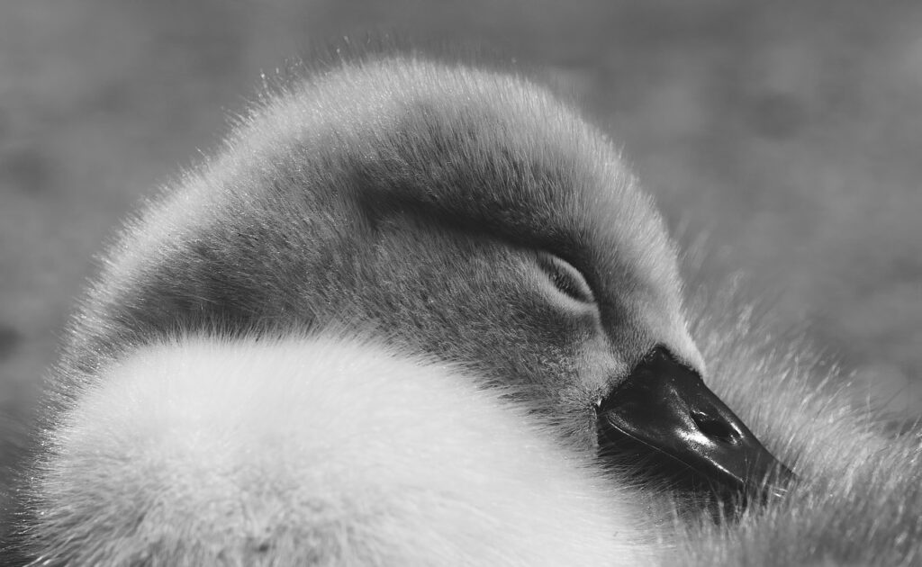美肌と睡眠の質を上げる方法は何ですか？