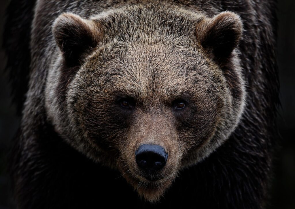 青クマを自宅で改善する光ケアの方法は？