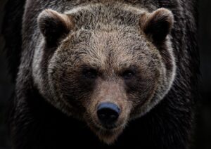 青クマを自宅で改善する光ケアの方法は？