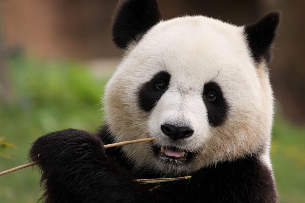 黒クマを改善するための自宅ケア方法は？