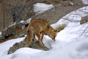 美容皮膚科に通わず美肌を目指す方法は？